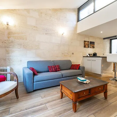 Appartement De Charme Au Coeur De Avec Climatisation Et Rooftop Bordeaux