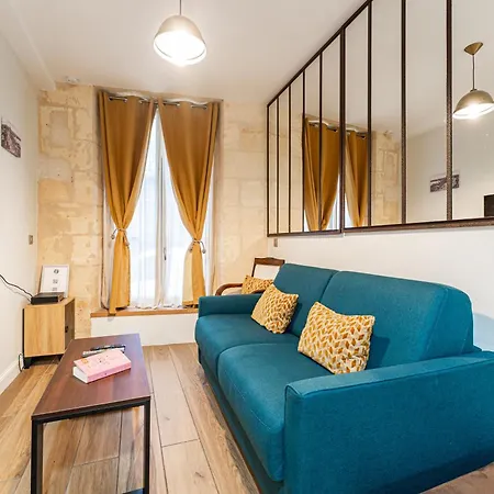 De Charme Au Coeur De Avec Climatisation Et Rooftop Appartement